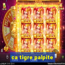 ca tigre palpite